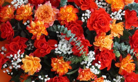 VICSERS ƠI, THẦY CÔ CỦA CHÚNG MÌNH ĐÃ SẴN SÀNG CHO MỘT MÙA “ĐI XÂY ƯỚC MƠ” NỮA RỒI ĐẤY!