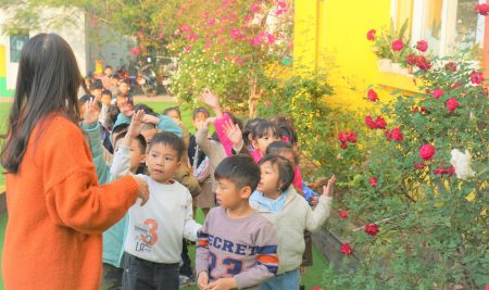 BỔ ÍCH GIỜ HỌC THAM QUAN VÀ BẢO VỆ VƯỜN TRƯỜNG CỦA VICSERS KHỐI 1