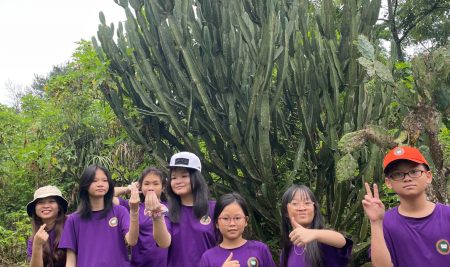 HÀNH TRÌNH HAI NGÀY HÒA MÌNH VÀO THIÊN NHIÊN CỦA HỌC SINH TRẠI HÈ QUỐC TẾ VIC SCHOOL TẠI RỪNG QUỐC GIA BA VÌ VÀ FEFE GARDEN