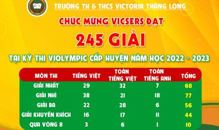 245 GIẢI VIOLYMPIC CẤP HUYỆN – NIỀM VUI LỚN CỦA VICSERS