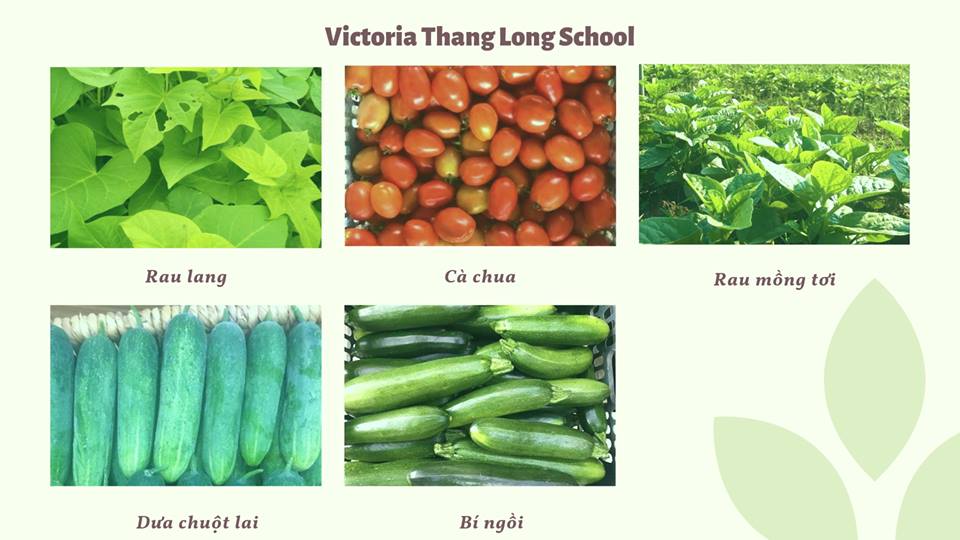 Thực đơn tuần 1 tháng 1 năm 2020